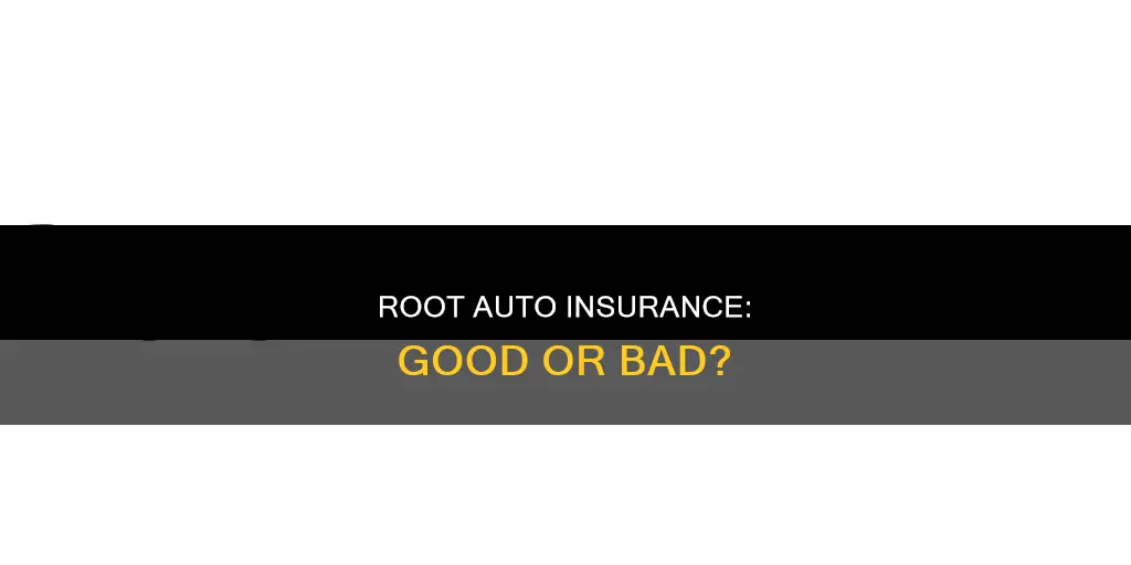 is root auto insurance good