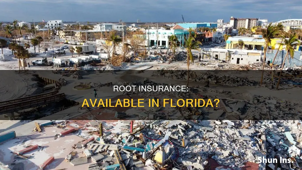 is root insurance available in Florida
