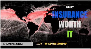 Route Insurance: Worth the Cost?