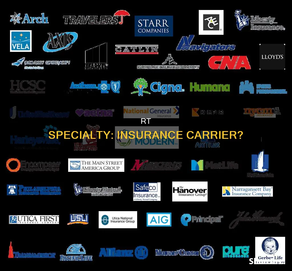 is rt specialty an insurance carrier