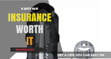 Safety Valve Insurance: Is It Worth the Cost?