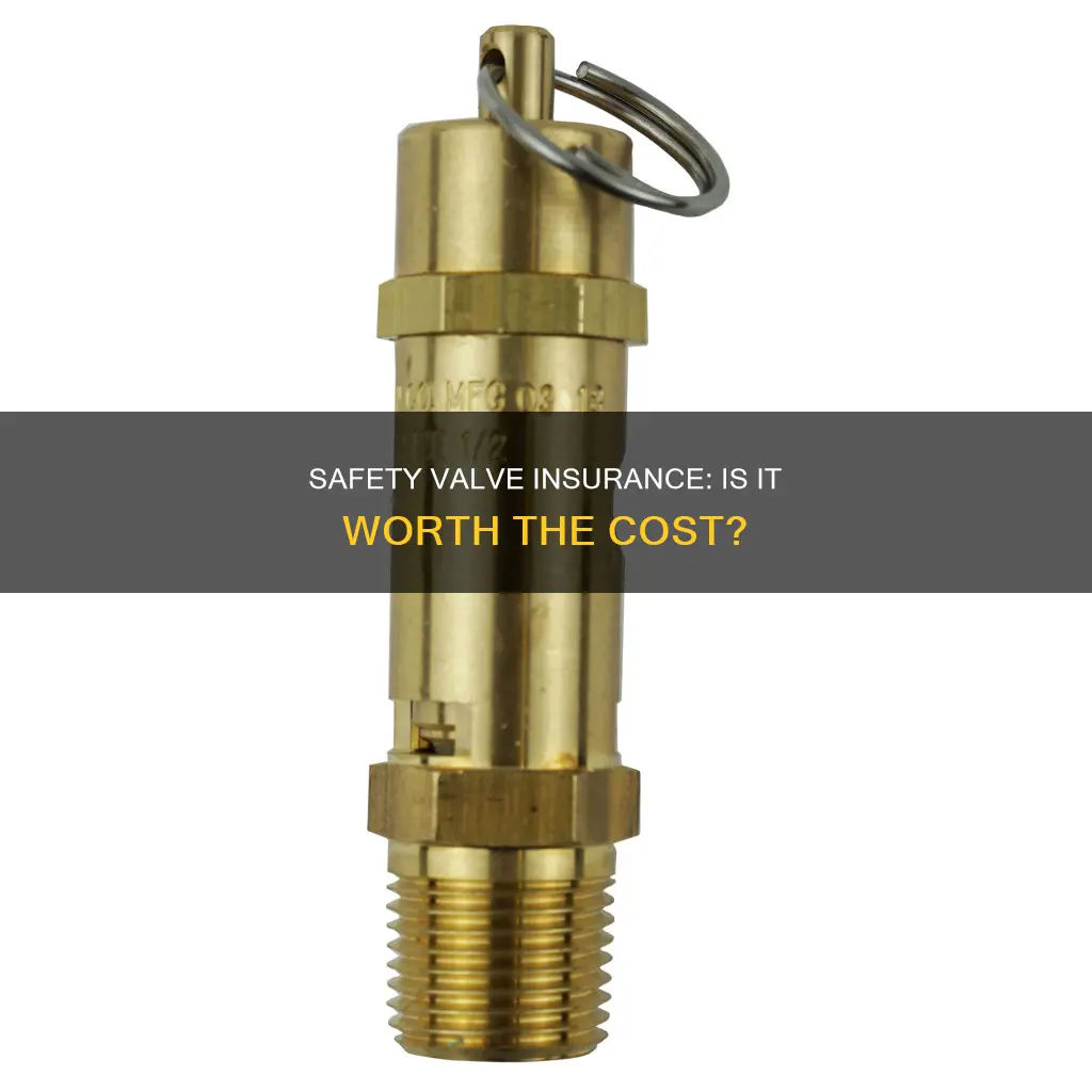 is safety valve insurance worth it
