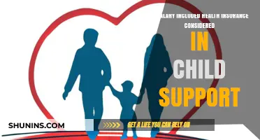 Understanding Child Support: Does Salary-Included Health Insurance Count?