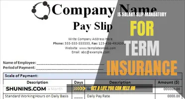 Salary Slip Significance: Why Term Insurance Requires Proof of Income