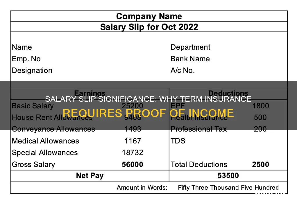 is salary slip mandatory for term insurance