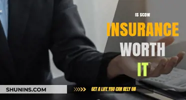 SCDW Insurance: Worth the Cost or Wasteful?