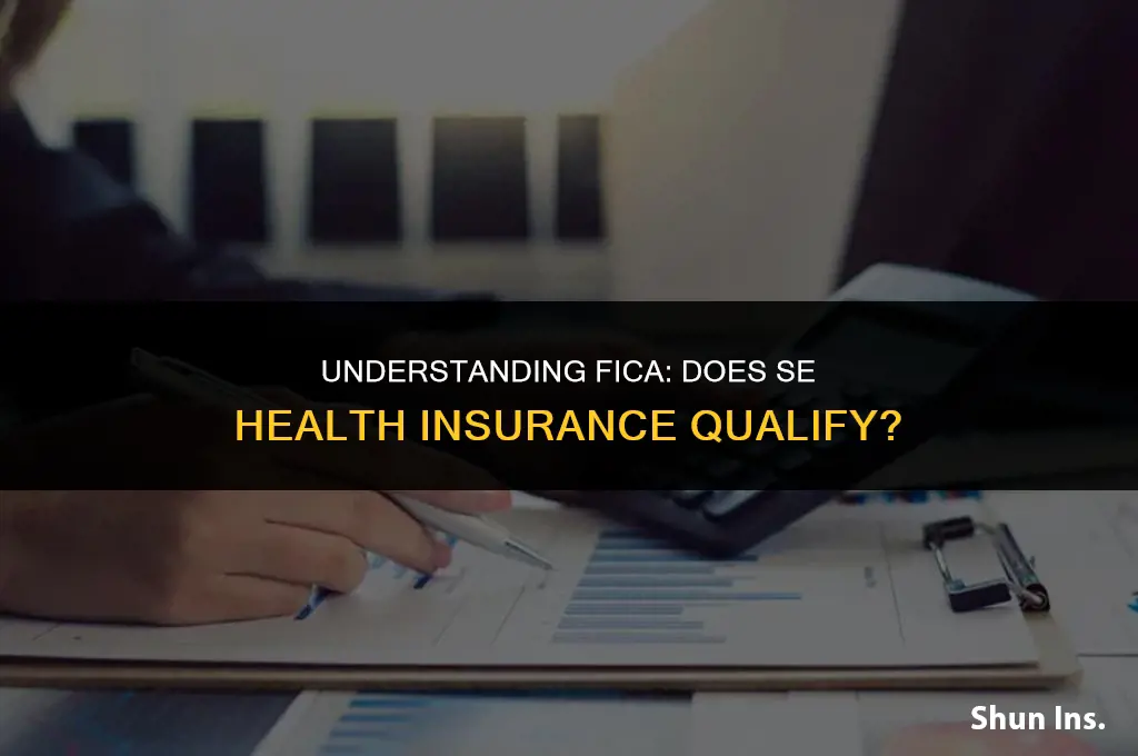 is se health insurance subject to fica