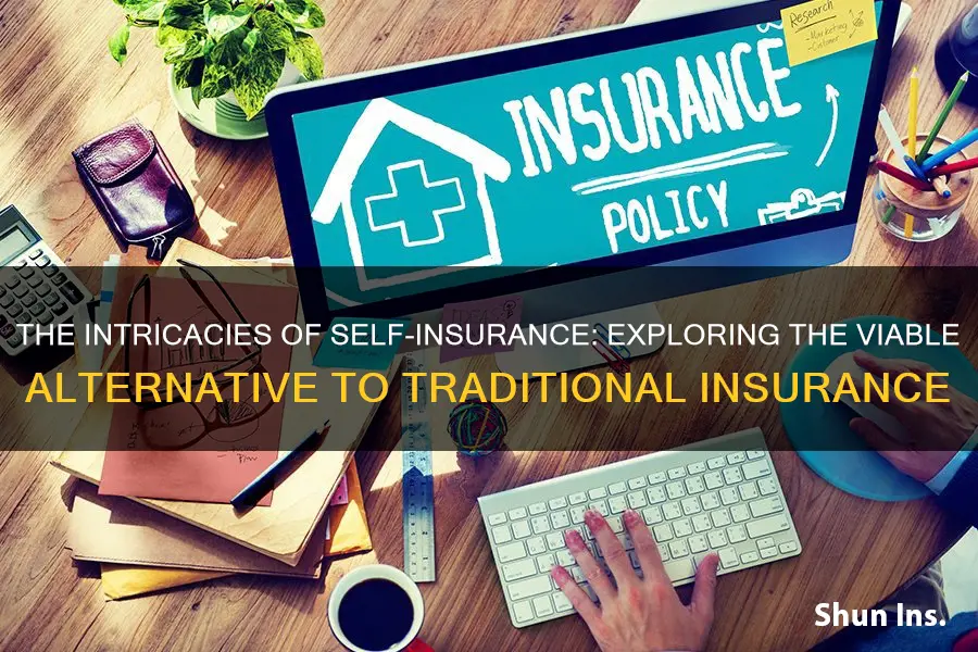 is self-insurance term