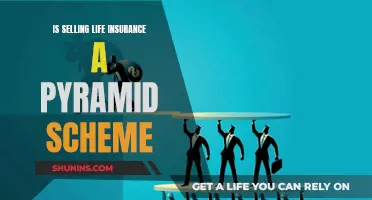 Life Insurance: Pyramid Scheme or Legit Business?