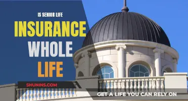 Senior Life Insurance: Whole Life or Term?