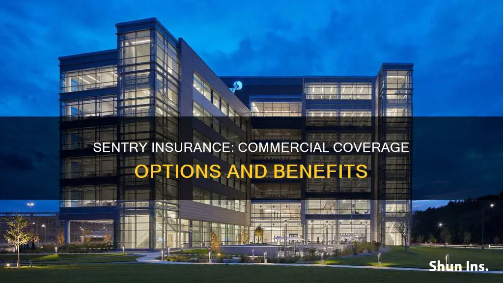 is sentry insurance a commercial insurer