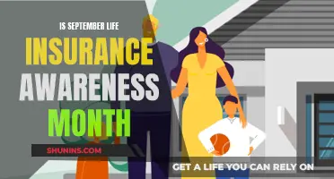 Life Insurance Awareness: September's Financial Focus