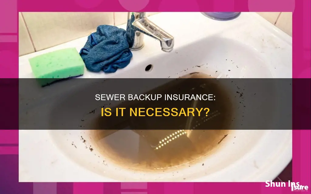 is sewer backup insurance worth it