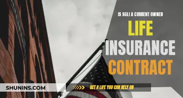 SGLI: Current-Owned Life Insurance Contract?