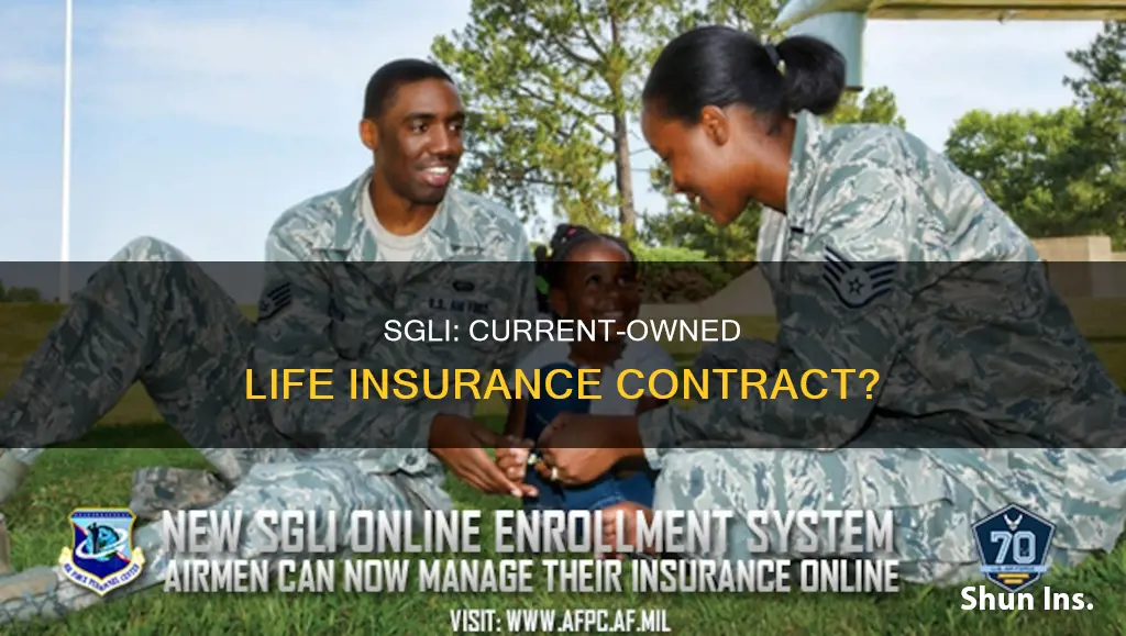 is sgli a current owned life insurance contract