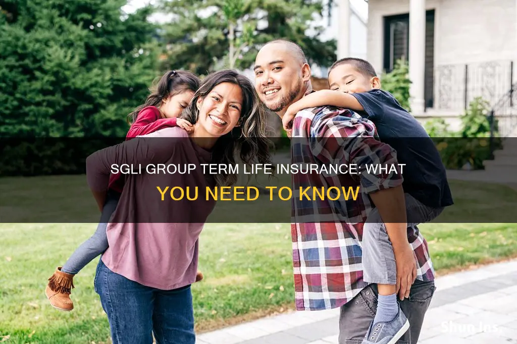 is sgli group term life insurance