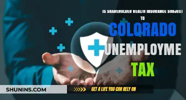 Colorado Unemployment Tax: Does Shareholder Health Insurance Qualify?