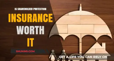 Shareholder Protection Insurance: Necessary or Not?