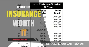 Short-Term Insurance: Worth the Cost?