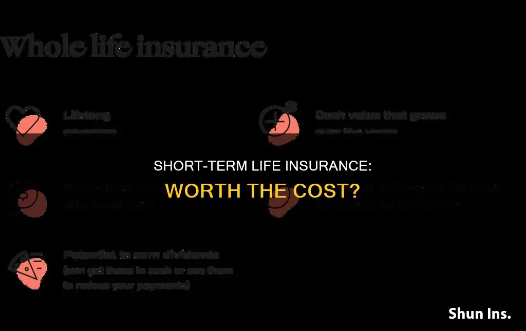 is short term life insurance worth it