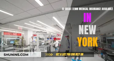 Short-Term Health Insurance Options in New York State