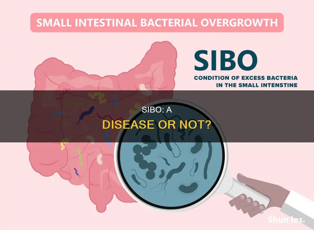 is sibo considered a disease for social security insurance benefits