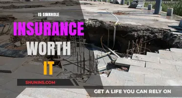 Sinkhole Insurance: Is It Worth the Cost?