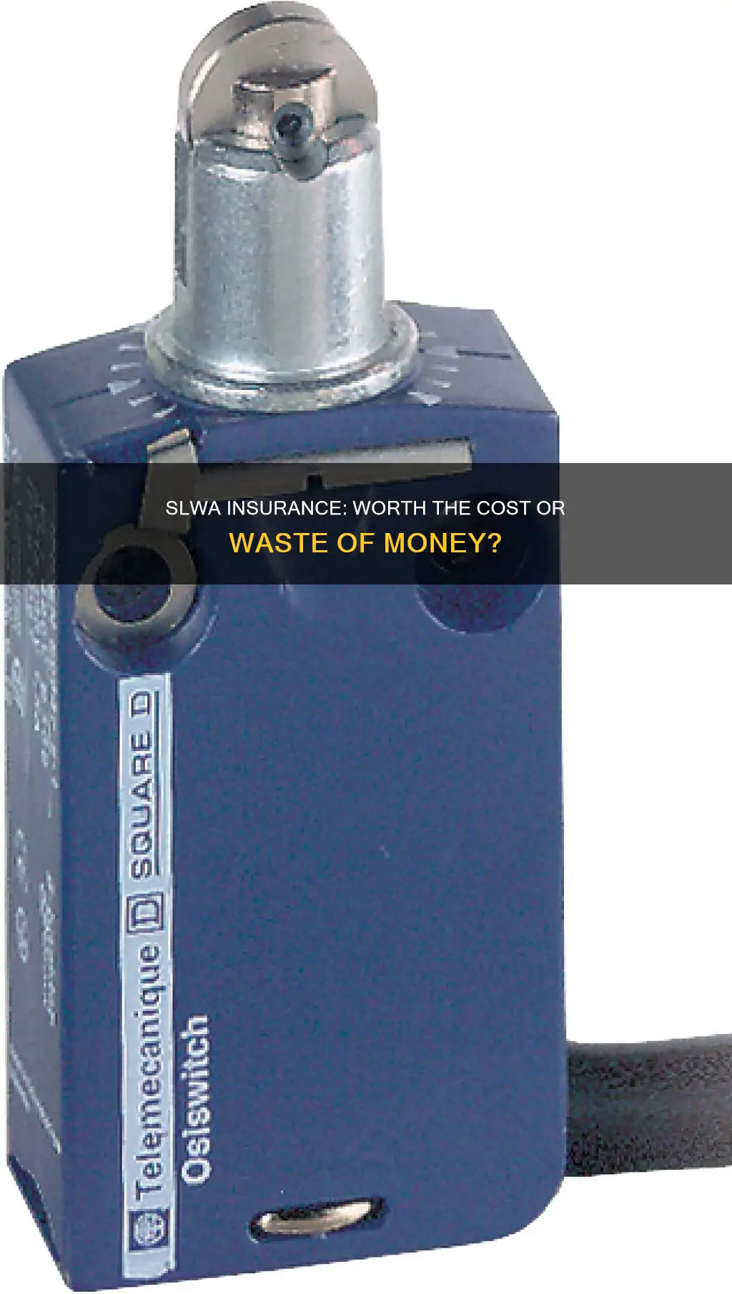 is slwa insurance worth it
