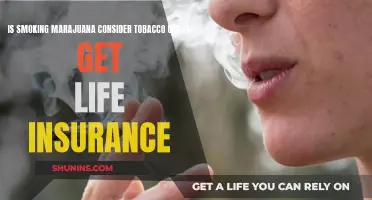 Marijuana Smoking: Life Insurance and Tobacco Classification