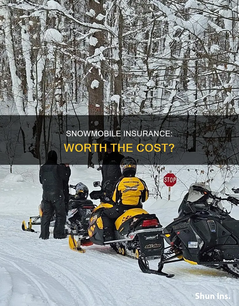 is snowmobile insurance worth it