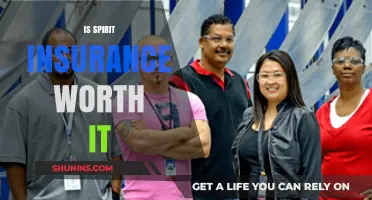 Spirit Insurance: Worth the Cost?