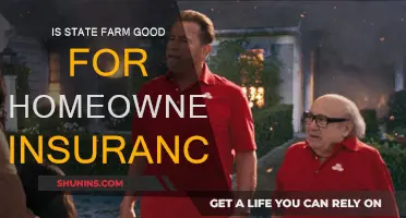 State Farm: A Good Homeowners Insurance Option?