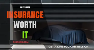 Storage Insurance: Worth the Cost?