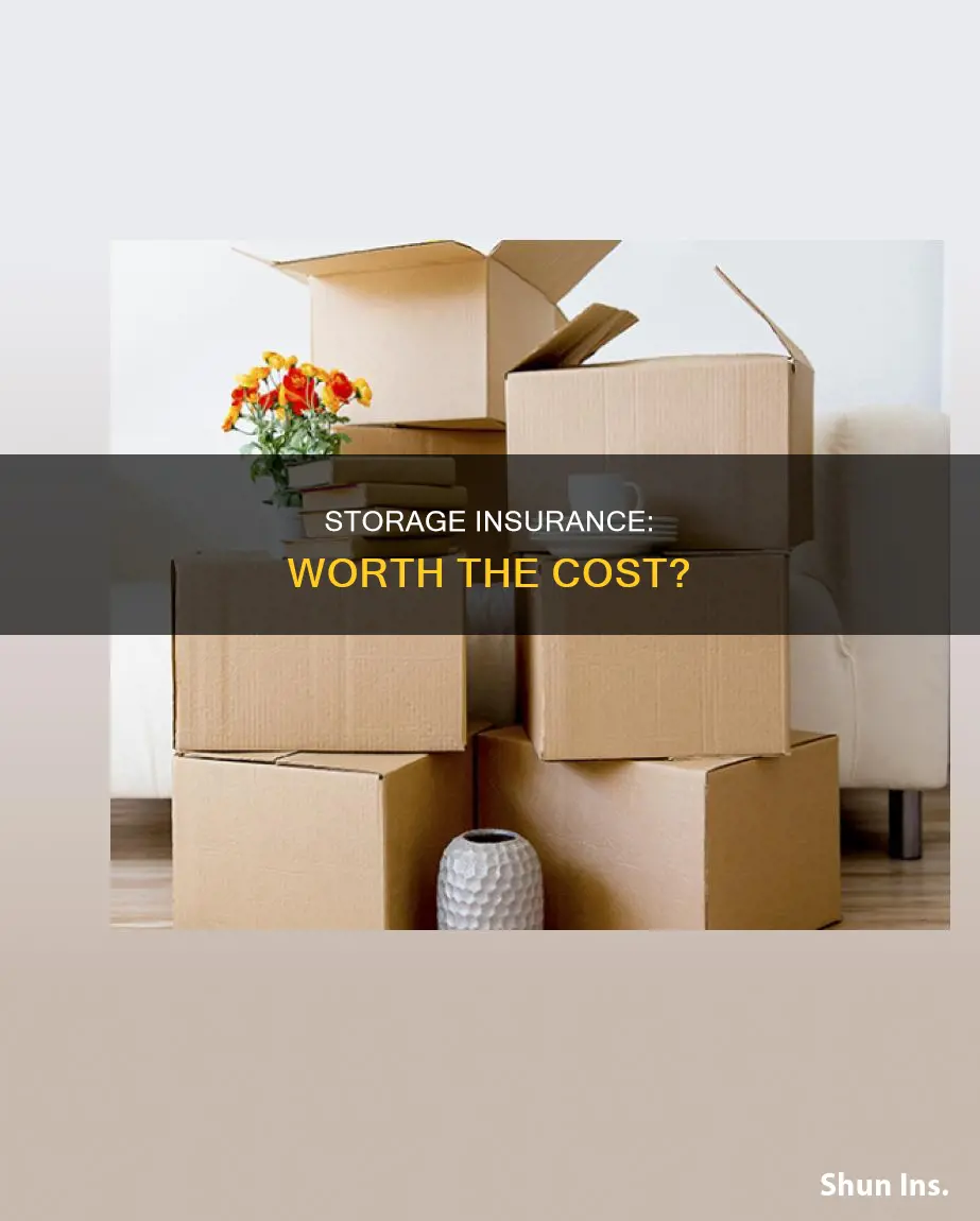 is storage insurance worth it