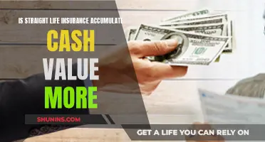 Straight Life Insurance: Accumulating Cash Value and More