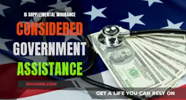 Supplemental Insurance: Government Aid?