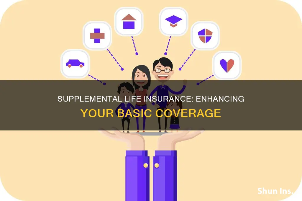 is supplemental life insurance in addition to basic life insurance