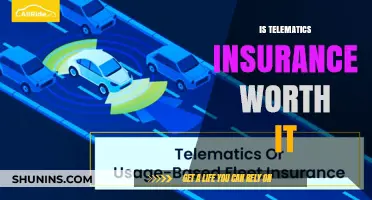Telematics Insurance: Worth the Cost and Privacy Trade-Off?