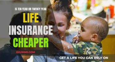 Longer-Term Life Insurance: Cheaper Option?