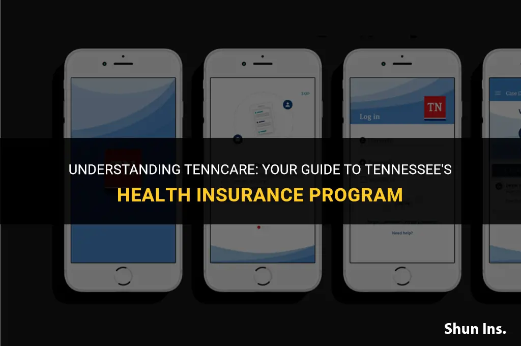 is tenncare health insurance