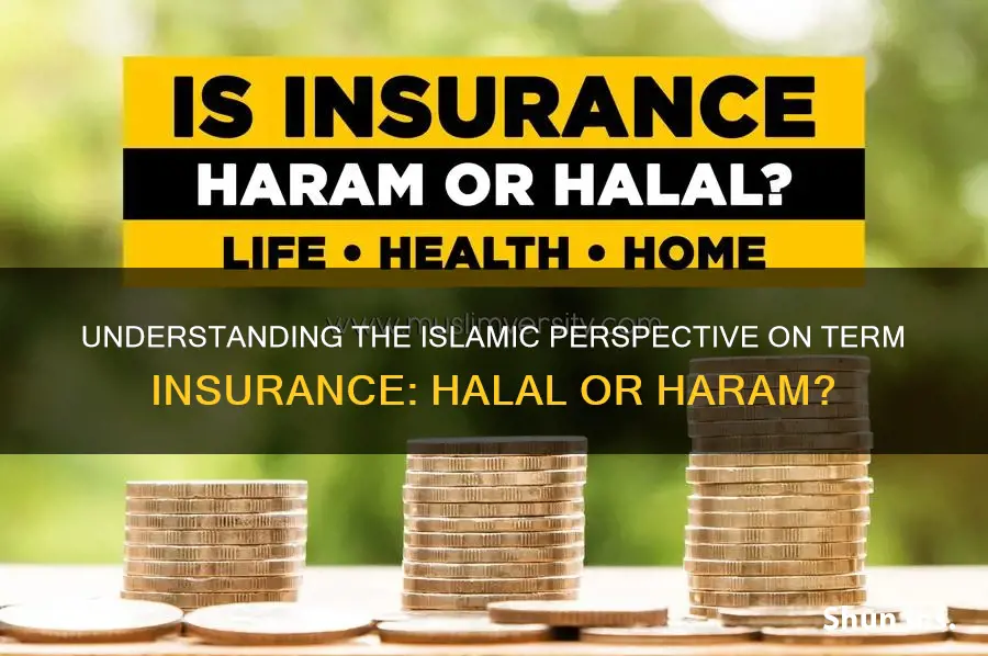 is term insurance halal