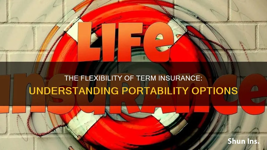 is term insurance portable