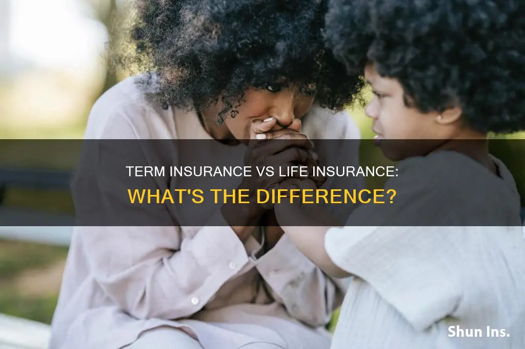 is term insurance same as life insurance