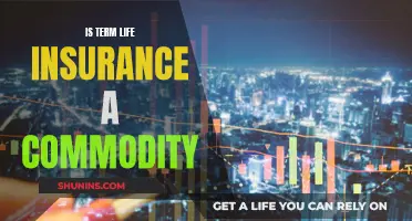 Term Life Insurance: A Commodity or Customized Need?