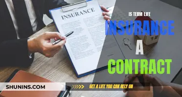 Term Life Insurance: Understanding the Contractual Basics