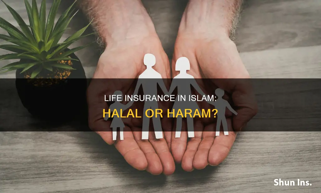 is term life insurance allowed in islam