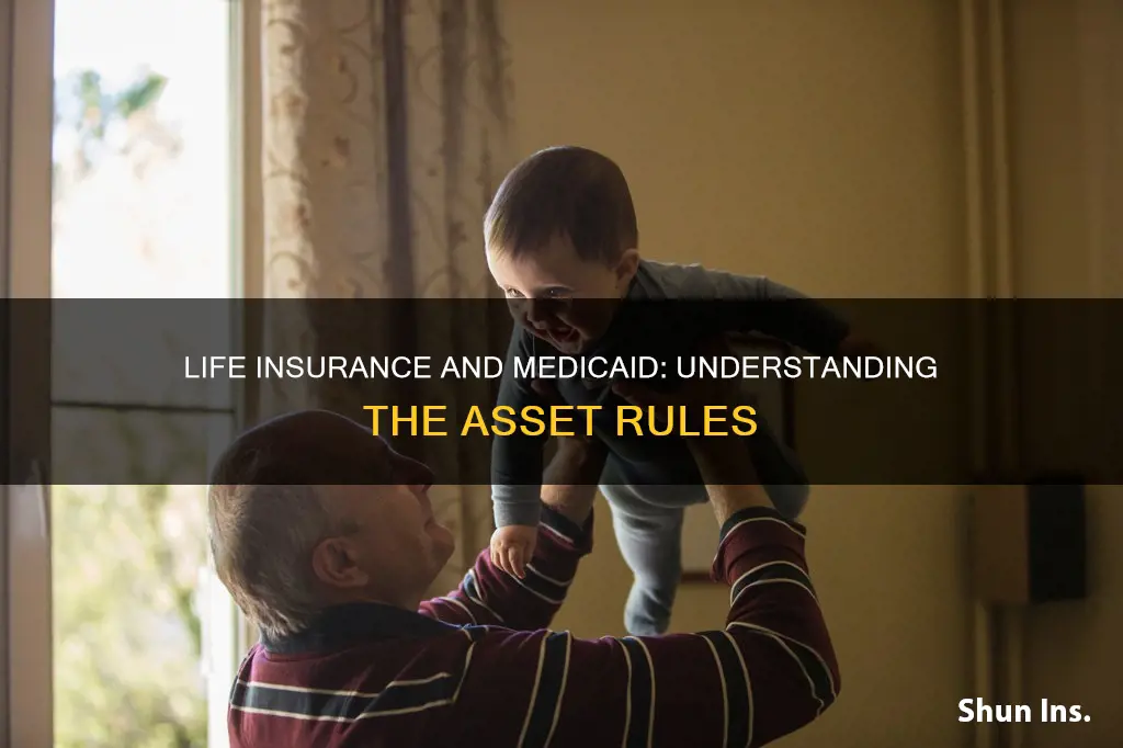 is term life insurance an asset for medicaid eligibility