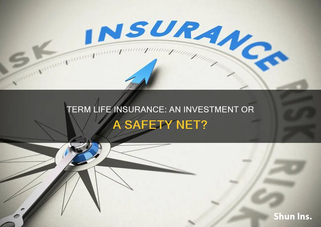 is term life insurance an investment