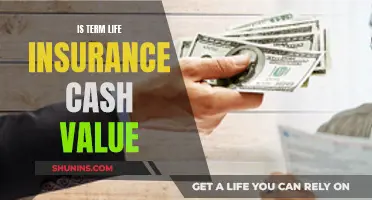 Term Life Insurance: Cash Value or Not?