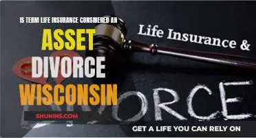 Life Insurance: Divorce Asset or Liability in Wisconsin?